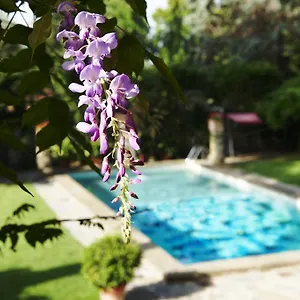 Hotell Park Palace, Florens